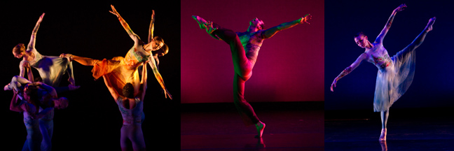 PicturesExhibition header 2